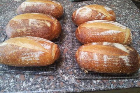 Appin Homestay B & B - Darwin Holiday 6