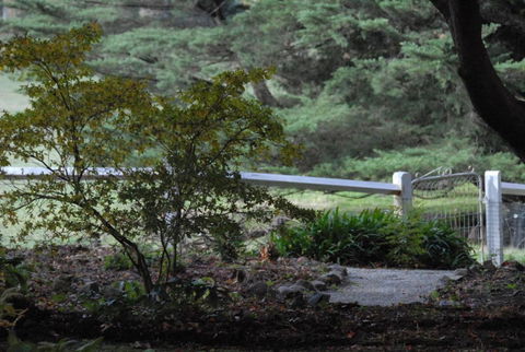 Toolebewang Farm Cottage - Darwin Holiday 4