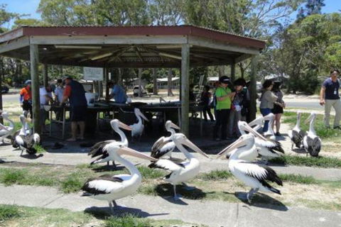 4 Villa Ellisa 10 Columbia Close Beautiful Unit With Beautiful Water Views At Little Beach - Darwin Holiday 3