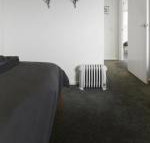 Reindeer 9 - Darwin Holiday