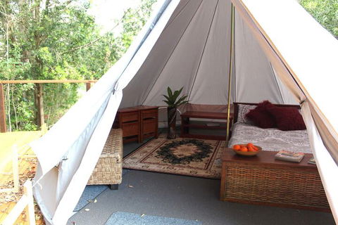 Stonehouse Farm Glamping - Darwin Holiday 6