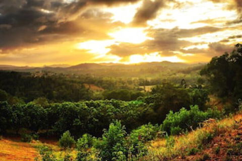 Stonehouse Farm Glamping - Darwin Holiday 0