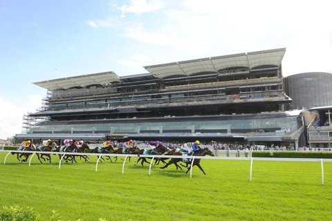 Rustic Hardwood 2 Bedroom Apartment In Randwick - Darwin Holiday 1