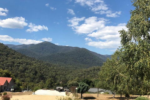 Alpine Stag Lodge Unit 2 - Darwin Holiday 7