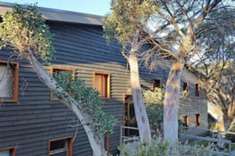 Cobbler 3 - Darwin Holiday 0