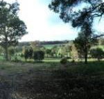 Chandeliers on Abbey - Darwin Holiday