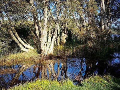 Wisteria Cottage On The Lagoon / Beach - Darwin Holiday 4