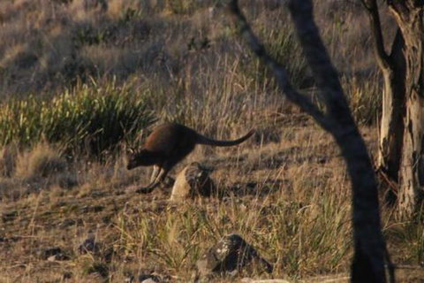 The Great House Bnb - Darwin Holiday 3