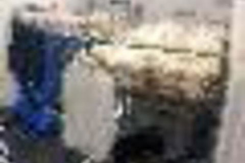 Melbourne Flinders Station Backpackers House - Darwin Holiday 6