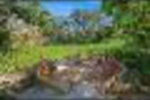 Superior Apartment - Darwin Holiday 2