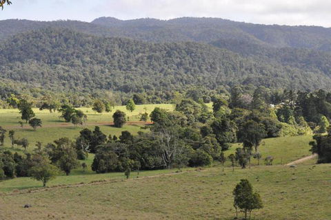 The Jungle Stays - Darwin Holiday 5