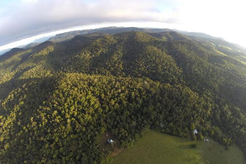 The Jungle Stays - Darwin Holiday 6