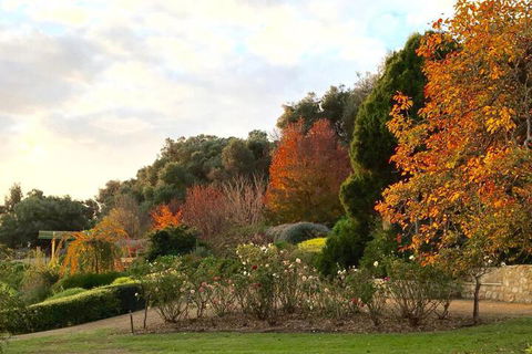 The Garden Cottage At The Olives - Darwin Holiday 2