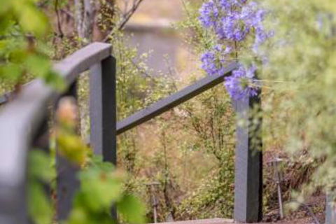 In The Valley - Darwin Holiday 5