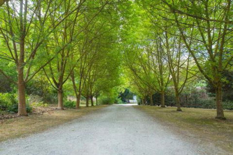 In The Valley - Darwin Holiday 6