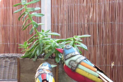 Twenty On Lake - Darwin Holiday 3