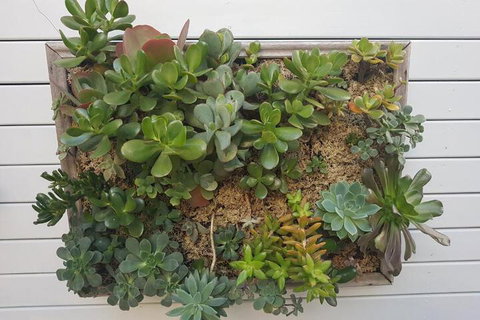 Twenty On Lake - Darwin Holiday 7