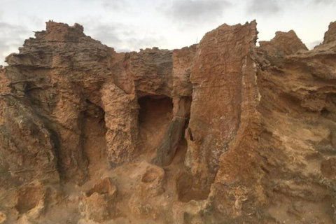 QUEEN BEDROOM FRIENDLY HOME PORTLAND - Darwin Holiday 7