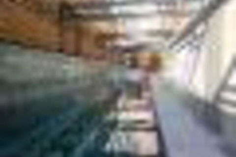 Amazing Lake View Apartment AtAlber Park  - Darwin Holiday 6