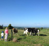 MilaViews - Darwin Holiday