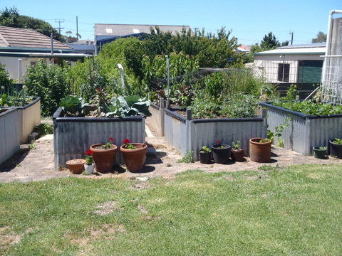 Evergreen - Darwin Holiday 4