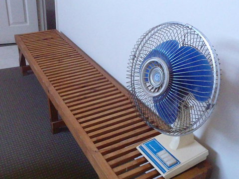 Evergreen - Darwin Holiday 1