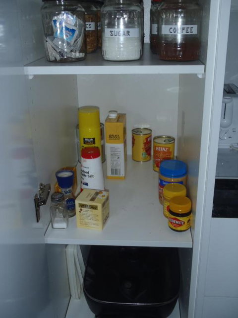 Evergreen - Darwin Holiday 3