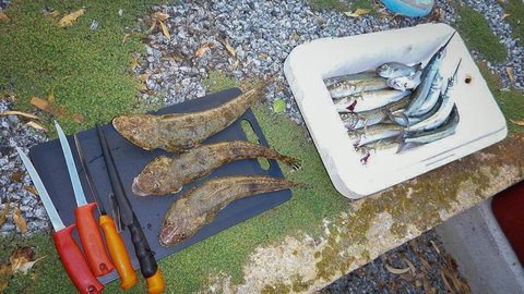 Willygunyah - Darwin Holiday 1