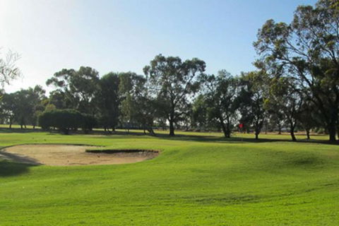 Barmera Country Club Motor Inn - Darwin Holiday 3