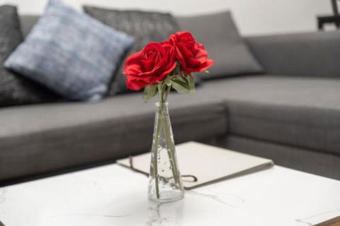 Little Collins Apartment - Darwin Holiday 5