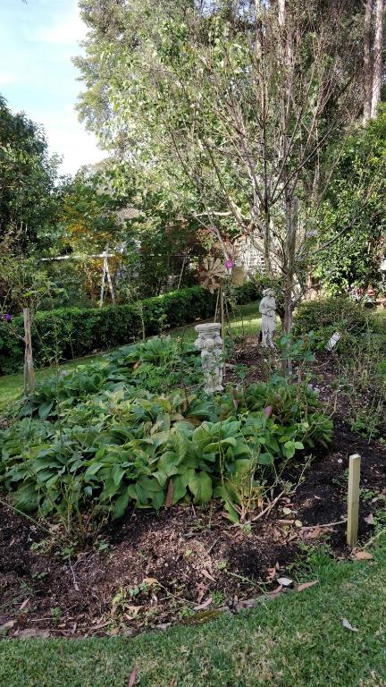 Laurel House - Darwin Holiday 3