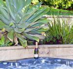 Fingal Escape - Darwin Holiday