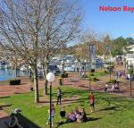 13 Carindale 19 Dowling Street large ground floor unit with pool  tennis court - Darwin Holiday