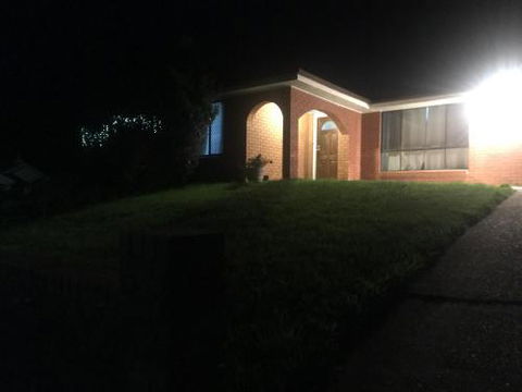 Ecoangelus - Darwin Holiday 6