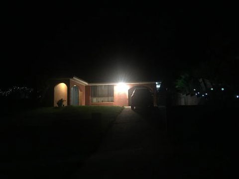 Ecoangelus - Darwin Holiday 2