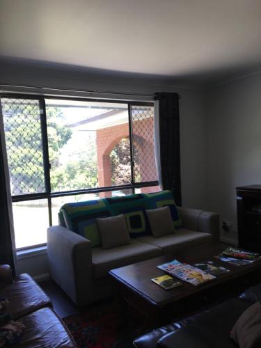 Ecoangelus - Darwin Holiday 3