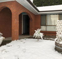 Ecoangelus - Darwin Holiday