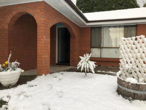 Ecoangelus - Darwin Holiday 0