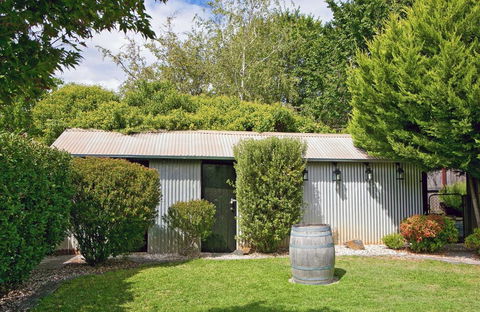 The Orange Fox - Darwin Holiday 3