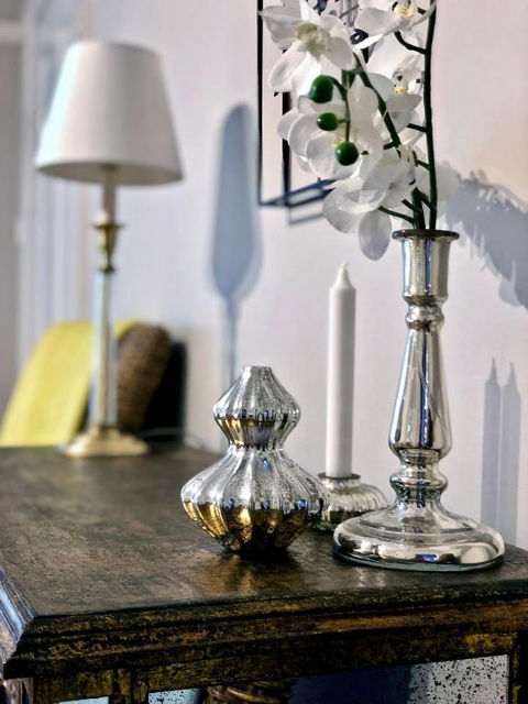 The Orange Fox - Darwin Holiday 1