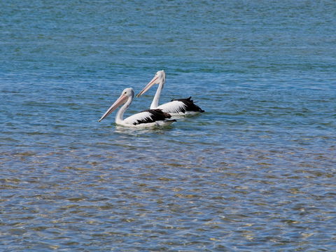 Oaks The Entrance Waterfront Suites - Darwin Holiday 3