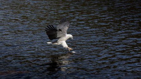 Arthur Riverfront & Sea Lodge Upstream - Darwin Holiday 1