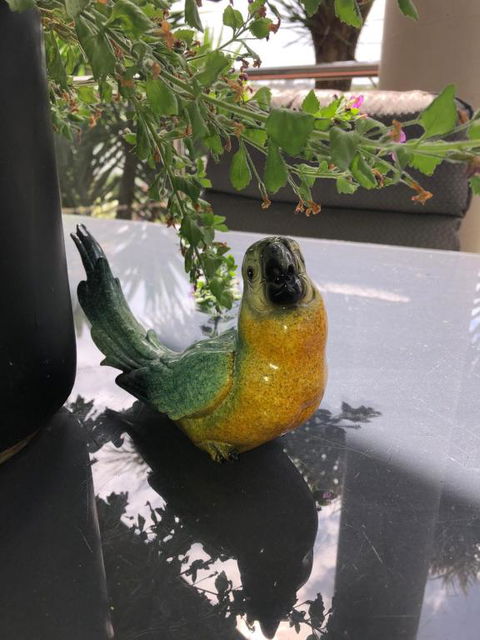 Exclusive Anglesea River Beach Apartment - Darwin Holiday 1