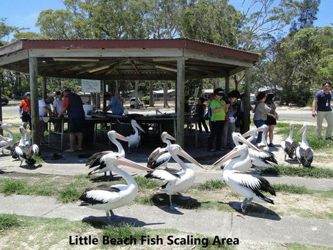 2 Little Hut 20 Kurrawa Close Stunning Water Views Of Little Beach - Darwin Holiday 4
