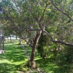 36 Bay Parklands 2 Gowrie Avenue Close To The Water With Pool & Spa & Tennis Court - Darwin Holiday 0