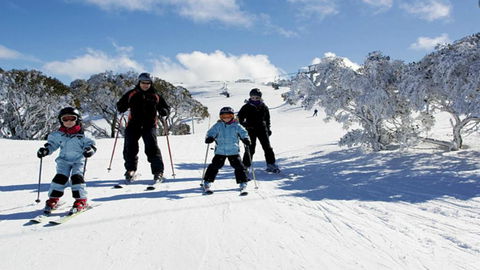 Les Chalets 20 - Darwin Holiday 5