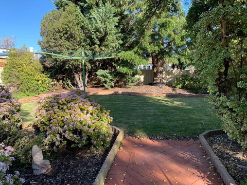 Hooterville - Darwin Holiday 1