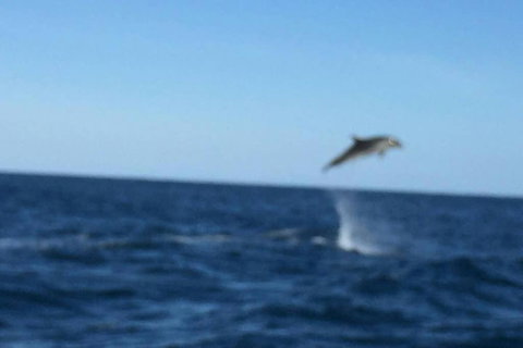 Cosy Cottage Valley Views - Darwin Holiday 1