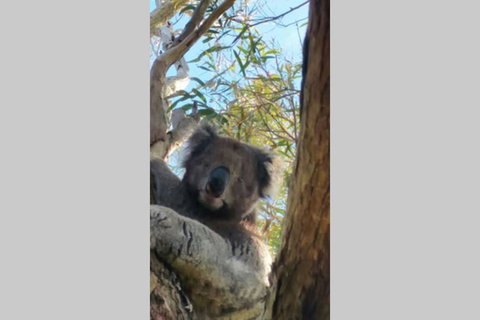 Cosy Cottage Valley Views - Darwin Holiday 3