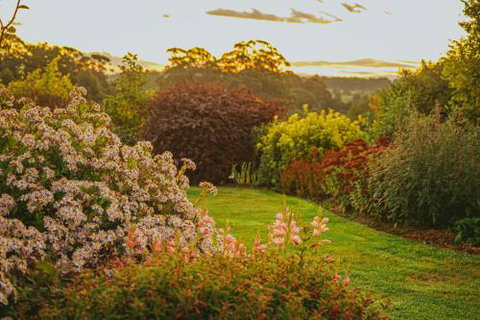 Hillcrest - Darwin Holiday 1